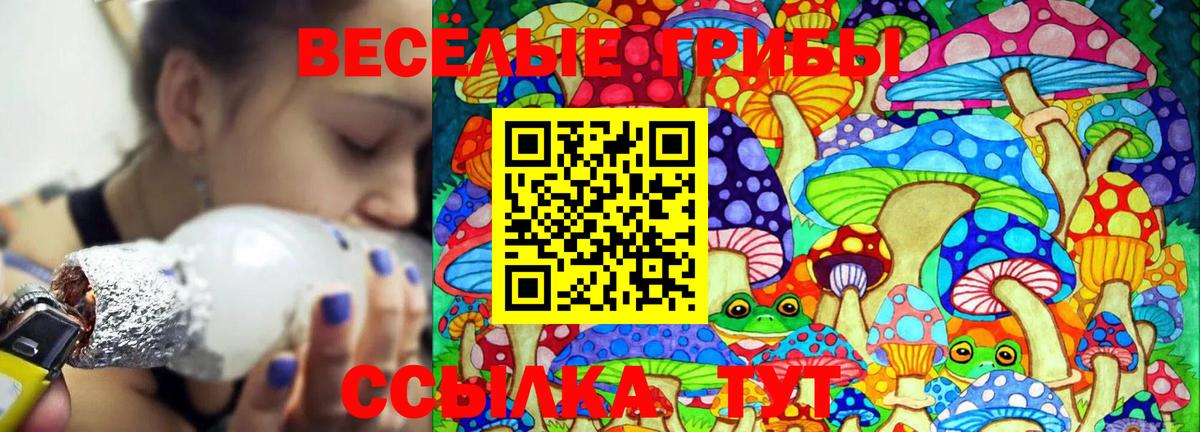 Псилоцибиновые грибы мицелий Осинники