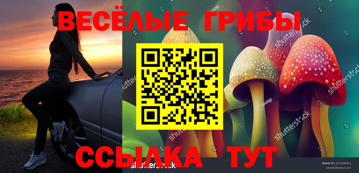 Псилоцибиновые грибы прущие грибы  Вход с VPN  Псилоцибиновые грибы мицелий  Осинники 